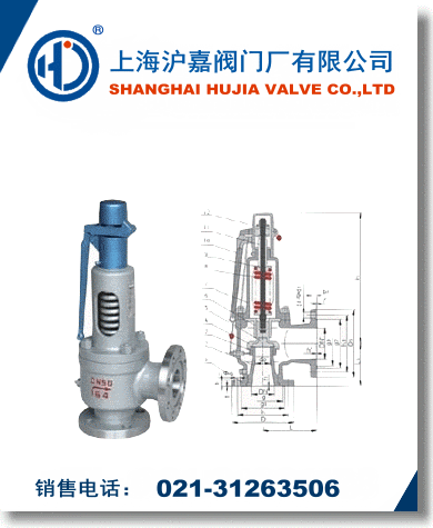 ������ȫ�y