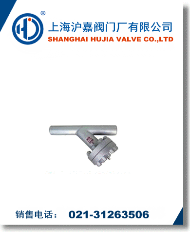 ����Y���^�V��